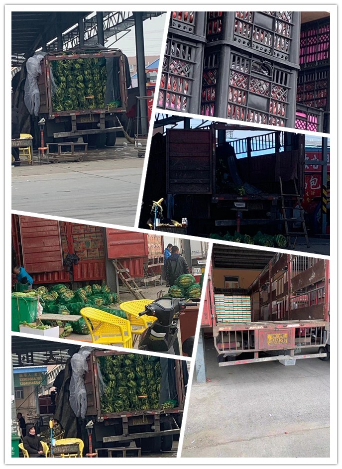 鉴黑担保网(jhdbw)·最具权威唯一维权担保平台