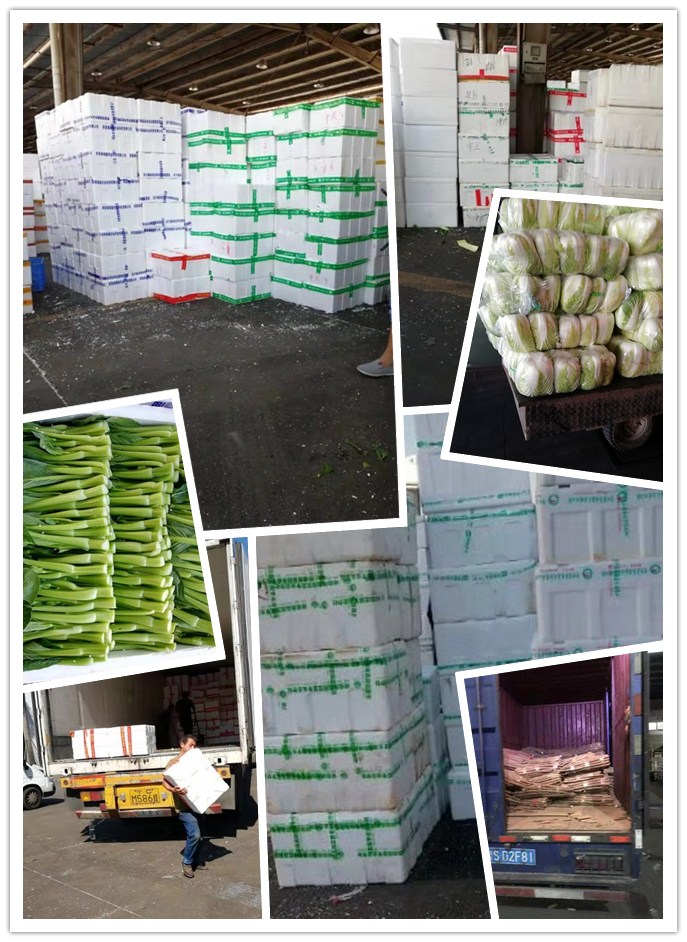 鉴黑担保网(jhdbw)·最具权威唯一维权担保平台