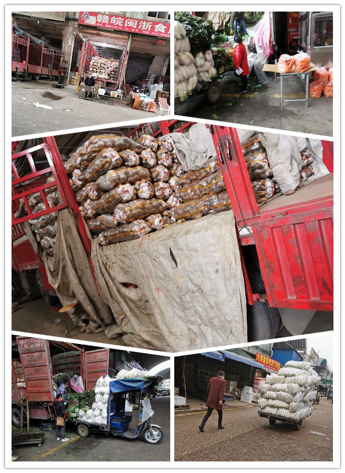 鉴黑担保网(jhdbw)·最具权威唯一维权担保平台