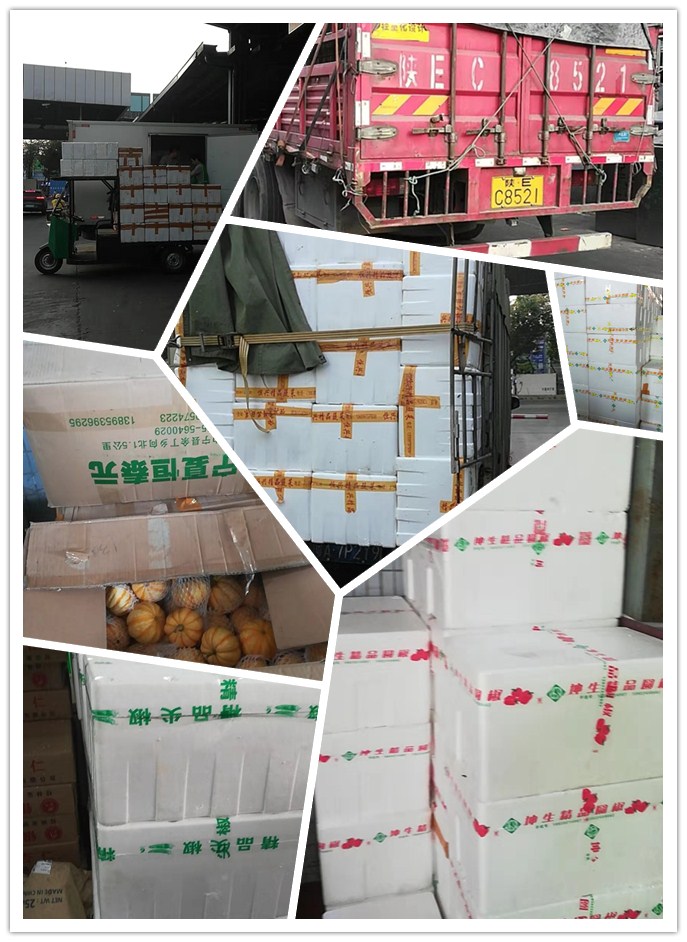 鉴黑担保网(jhdbw)·最具权威唯一维权担保平台