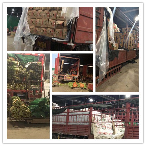 鉴黑担保网(jhdbw)·最具权威唯一维权担保平台