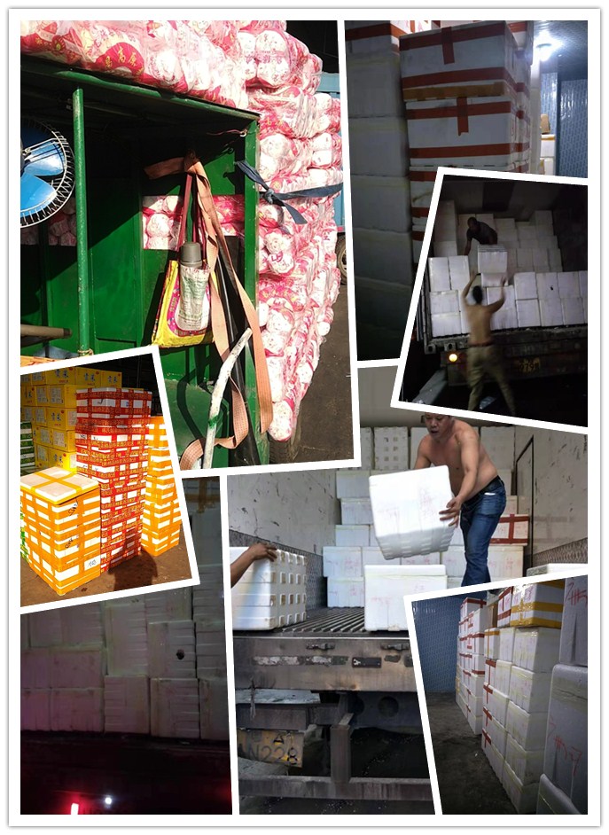 鉴黑担保网(jhdbw)·最具权威唯一维权担保平台