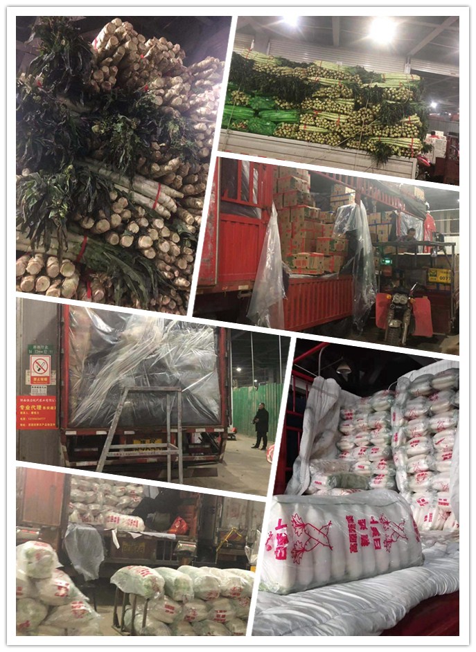 鉴黑担保网(jhdbw)·最具权威唯一维权担保平台