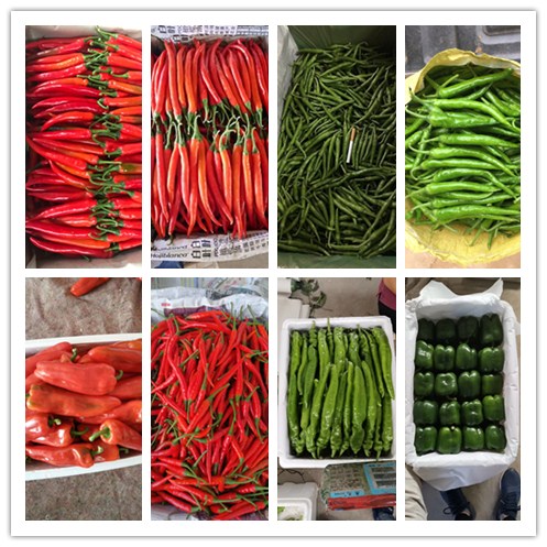 鉴黑担保网(jhdbw)·最具权威唯一维权担保平台