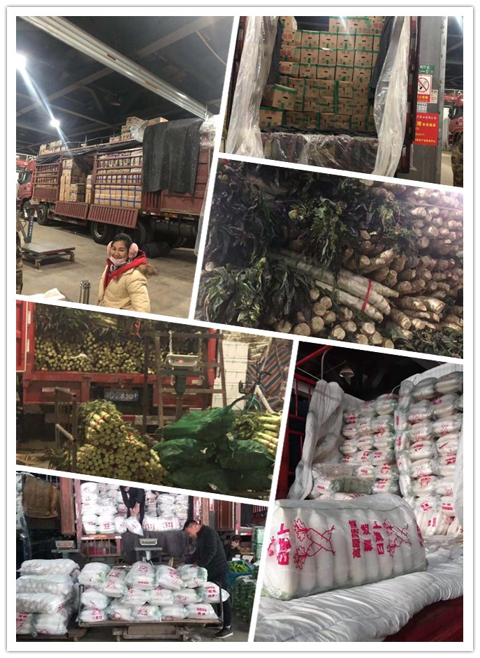 鉴黑担保网(jhdbw)·最具权威唯一维权担保平台