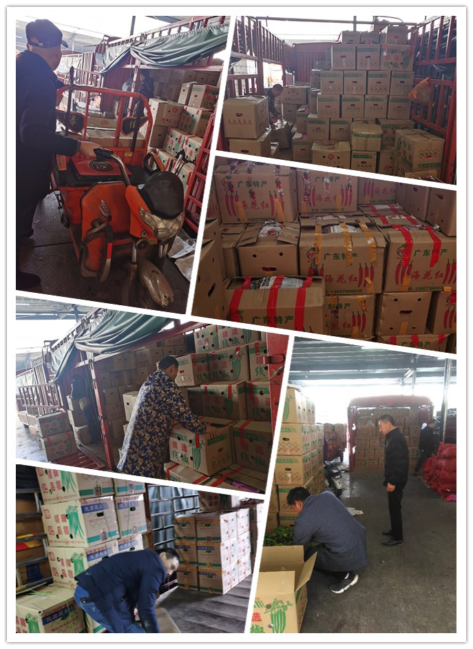 鉴黑担保网(jhdbw)·最具权威唯一维权担保平台