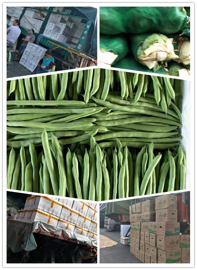 鉴黑担保网(jhdbw)·最具权威唯一维权担保平台