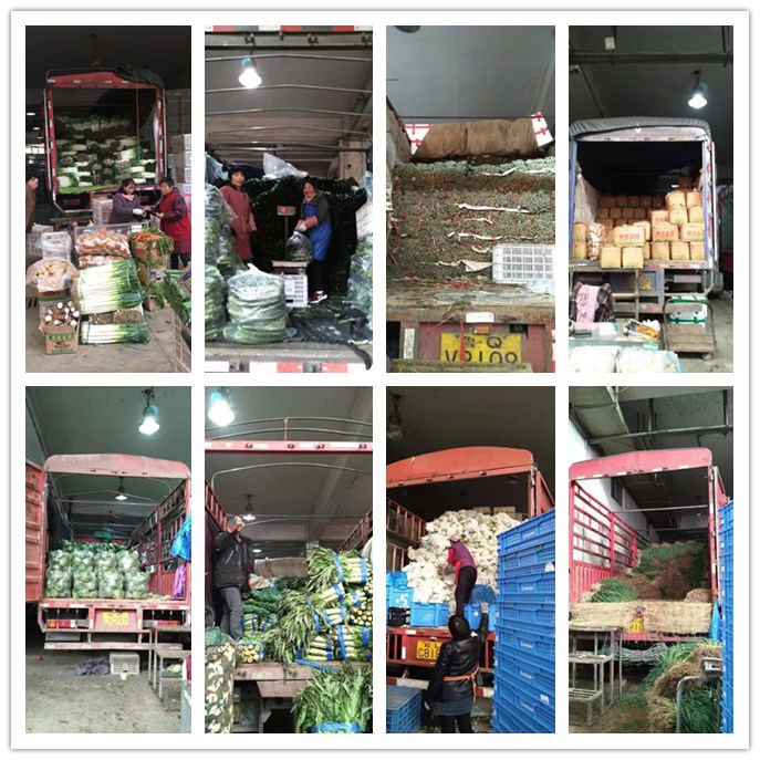 鉴黑担保网(jhdbw)·最具权威唯一维权担保平台