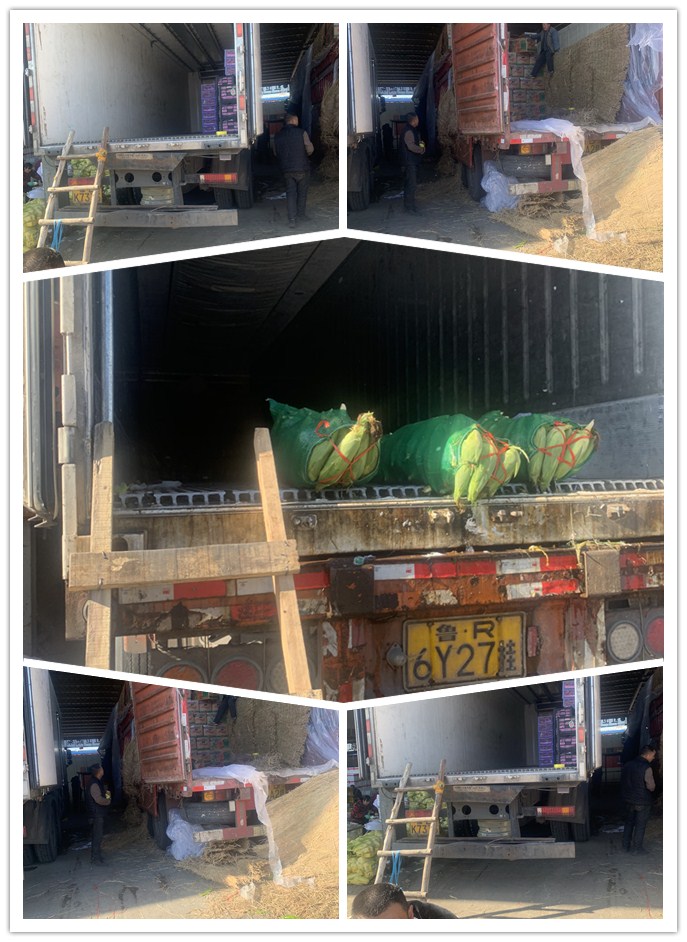 鉴黑担保网(jhdbw)·最具权威唯一维权担保平台