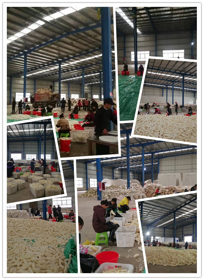 鉴黑担保网(jhdbw)·最具权威唯一维权担保平台