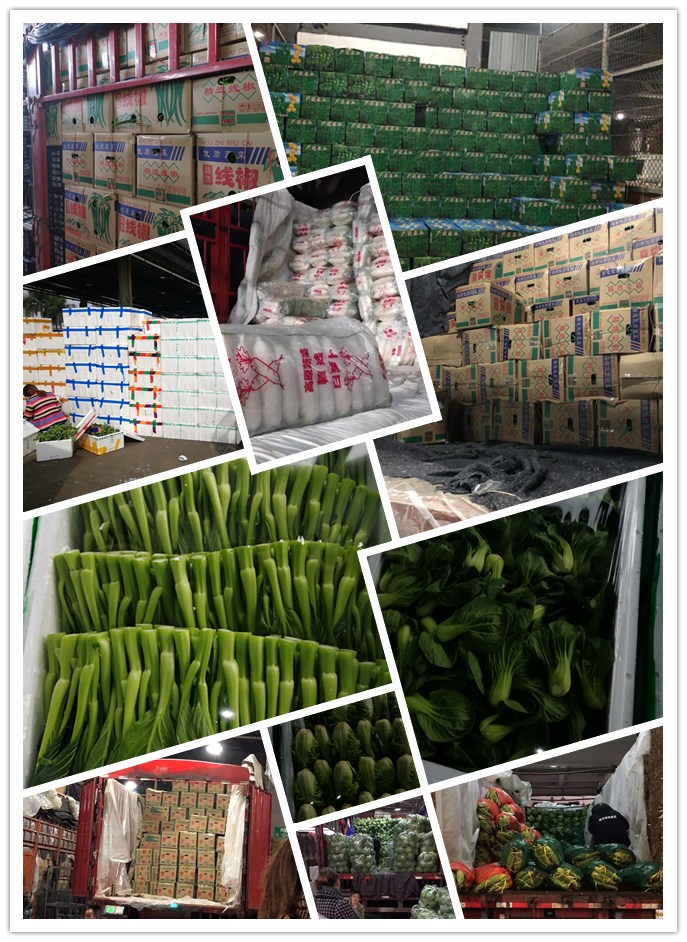 鉴黑担保网(jhdbw)·最具权威唯一维权担保平台