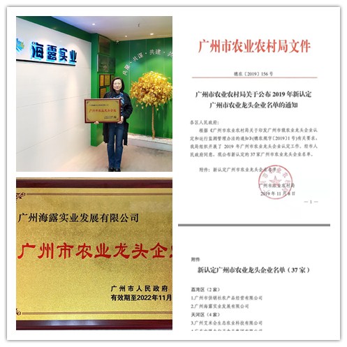 鉴黑担保网(jhdbw)·最具权威唯一维权担保平台