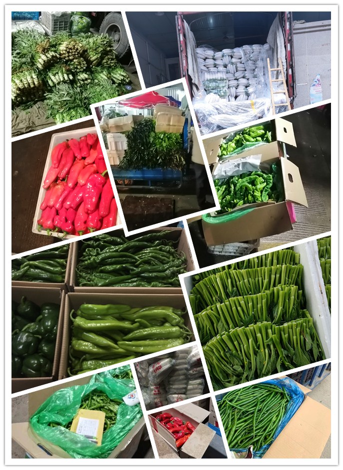 鉴黑担保网(jhdbw)·最具权威唯一维权担保平台