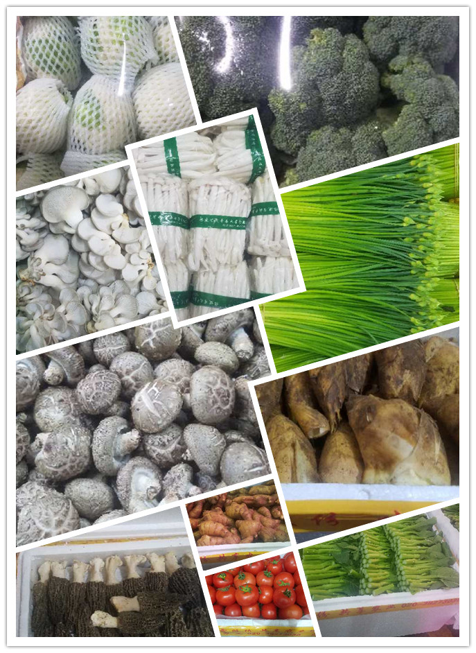 鉴黑担保网(jhdbw)·最具权威唯一维权担保平台