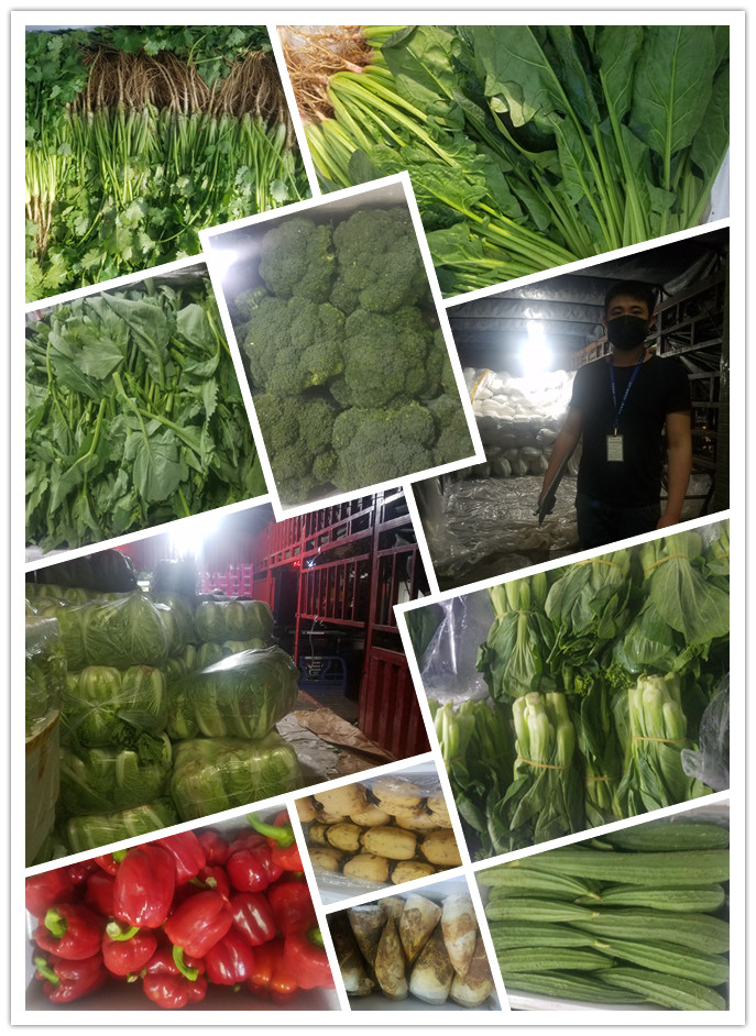 鉴黑担保网(jhdbw)·最具权威唯一维权担保平台