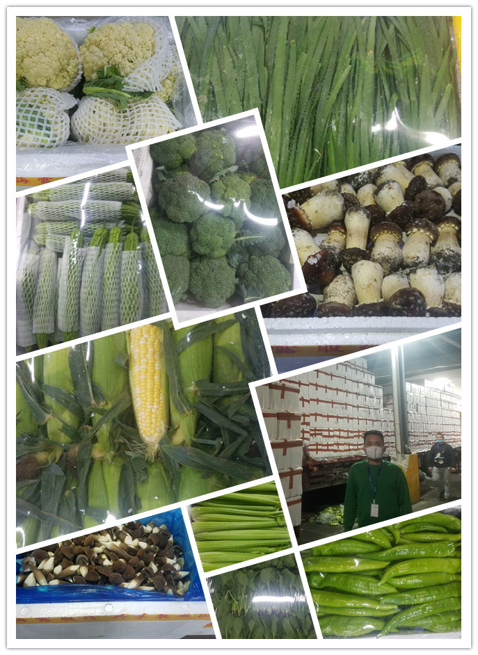 鉴黑担保网(jhdbw)·最具权威唯一维权担保平台