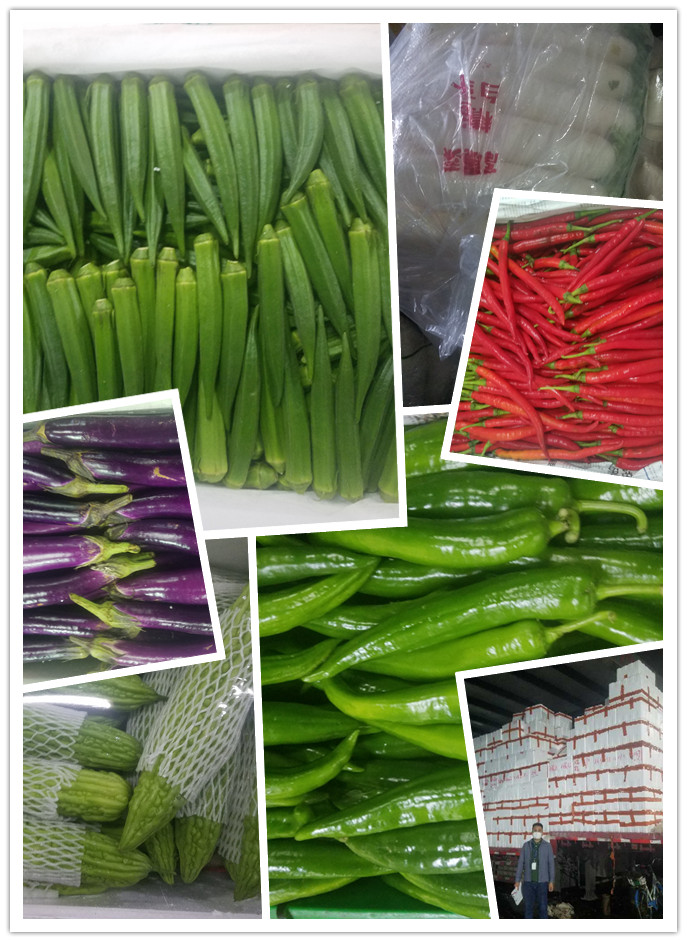 鉴黑担保网(jhdbw)·最具权威唯一维权担保平台