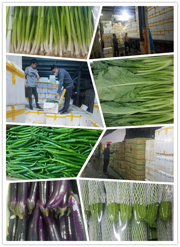 鉴黑担保网(jhdbw)·最具权威唯一维权担保平台