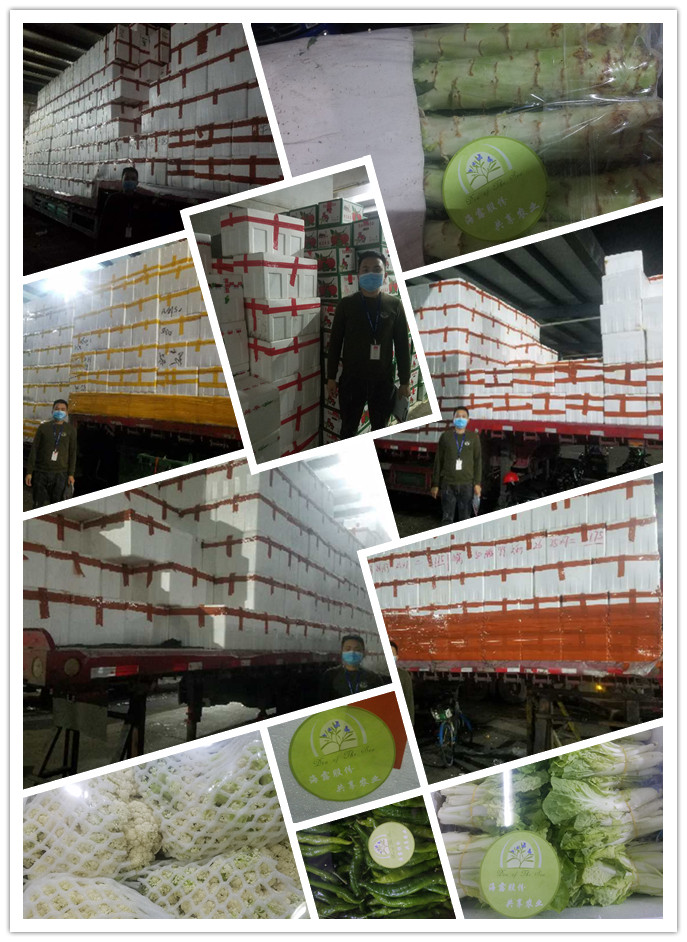 鉴黑担保网(jhdbw)·最具权威唯一维权担保平台