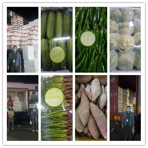 鉴黑担保网(jhdbw)·最具权威唯一维权担保平台