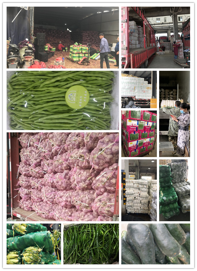 鉴黑担保网(jhdbw)·最具权威唯一维权担保平台