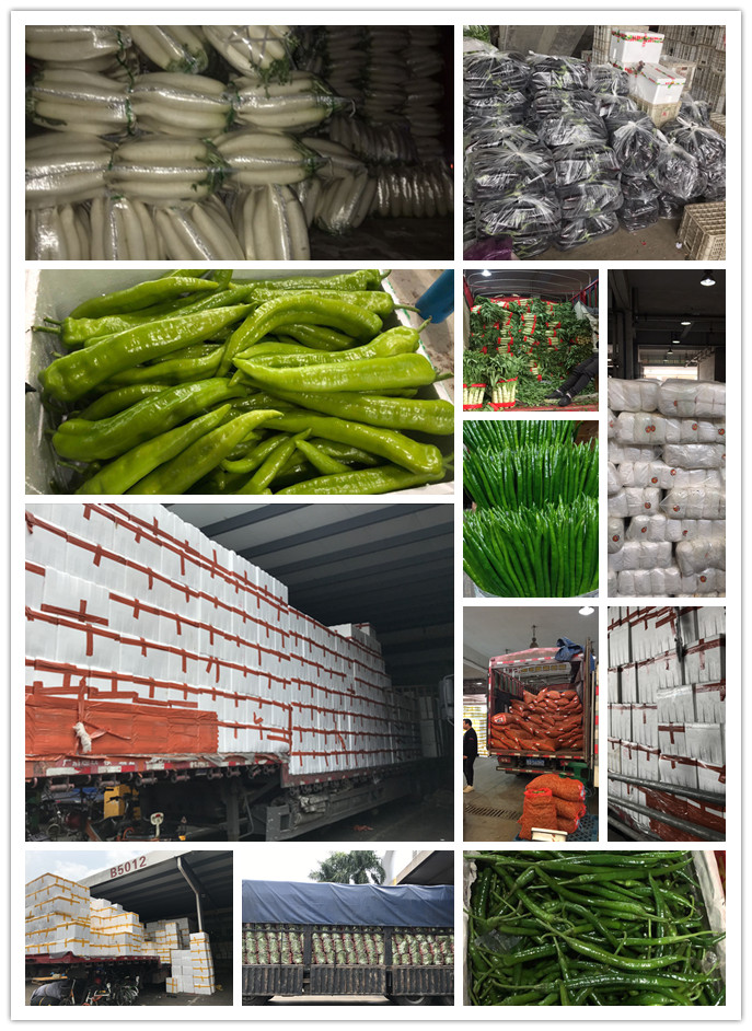 鉴黑担保网(jhdbw)·最具权威唯一维权担保平台