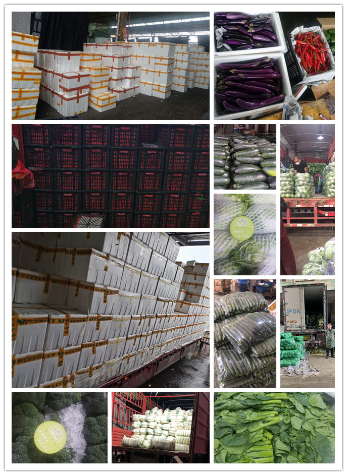 鉴黑担保网(jhdbw)·最具权威唯一维权担保平台