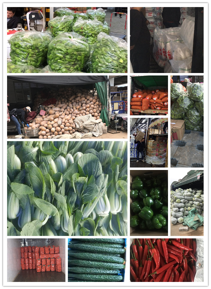 鉴黑担保网(jhdbw)·最具权威唯一维权担保平台