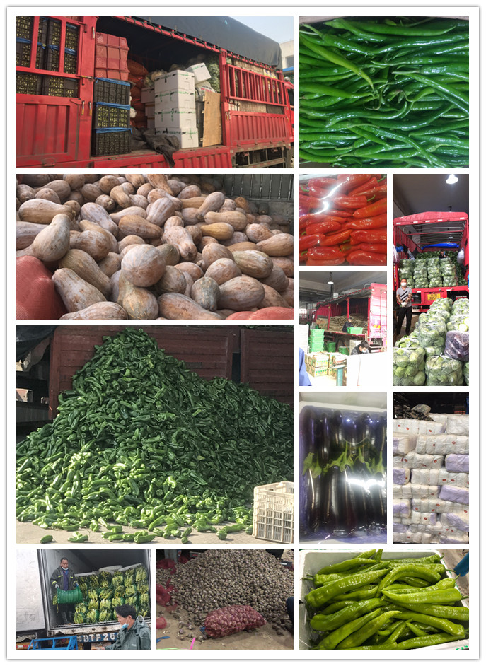 鉴黑担保网(jhdbw)·最具权威唯一维权担保平台