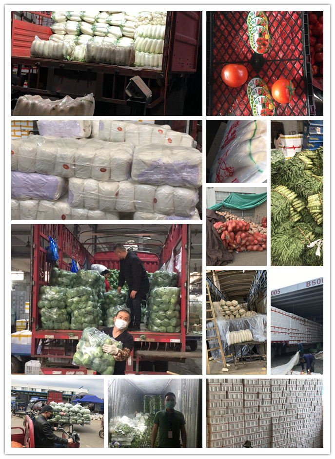 鉴黑担保网(jhdbw)·最具权威唯一维权担保平台