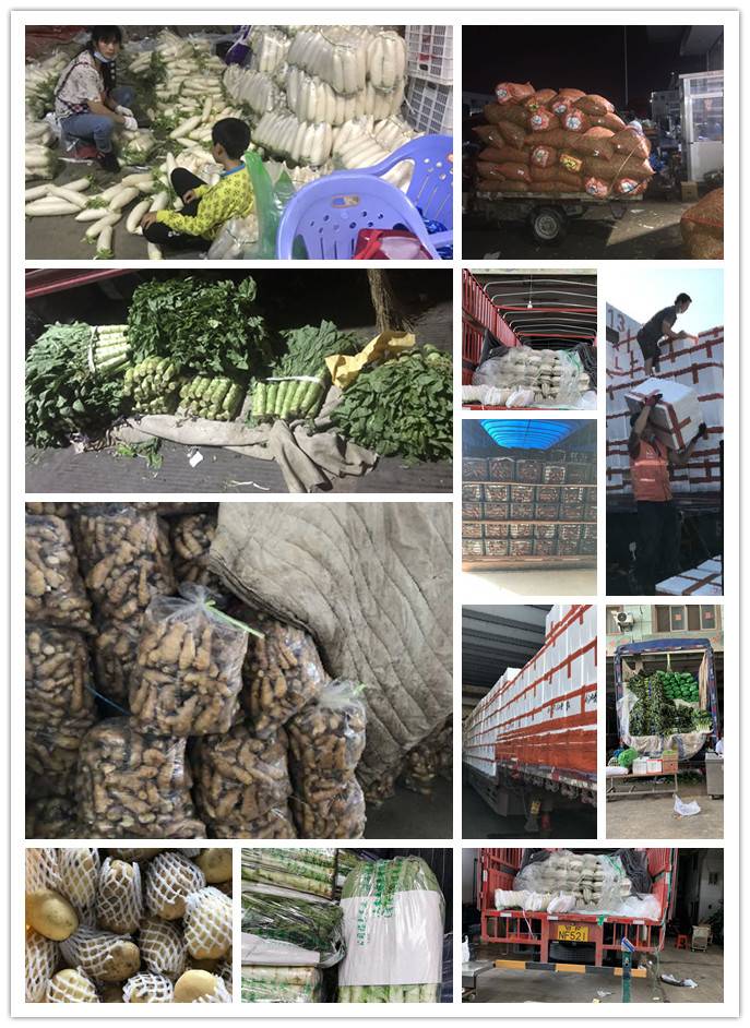 鉴黑担保网(jhdbw)·最具权威唯一维权担保平台