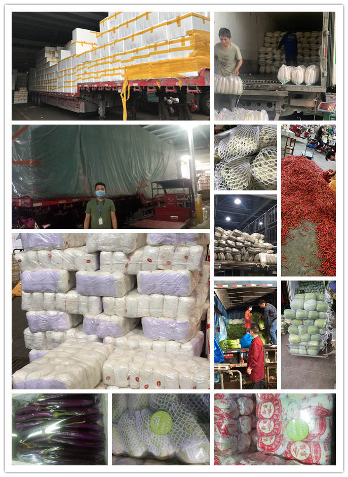 鉴黑担保网(jhdbw)·最具权威唯一维权担保平台