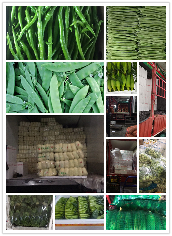 鉴黑担保网(jhdbw)·最具权威唯一维权担保平台