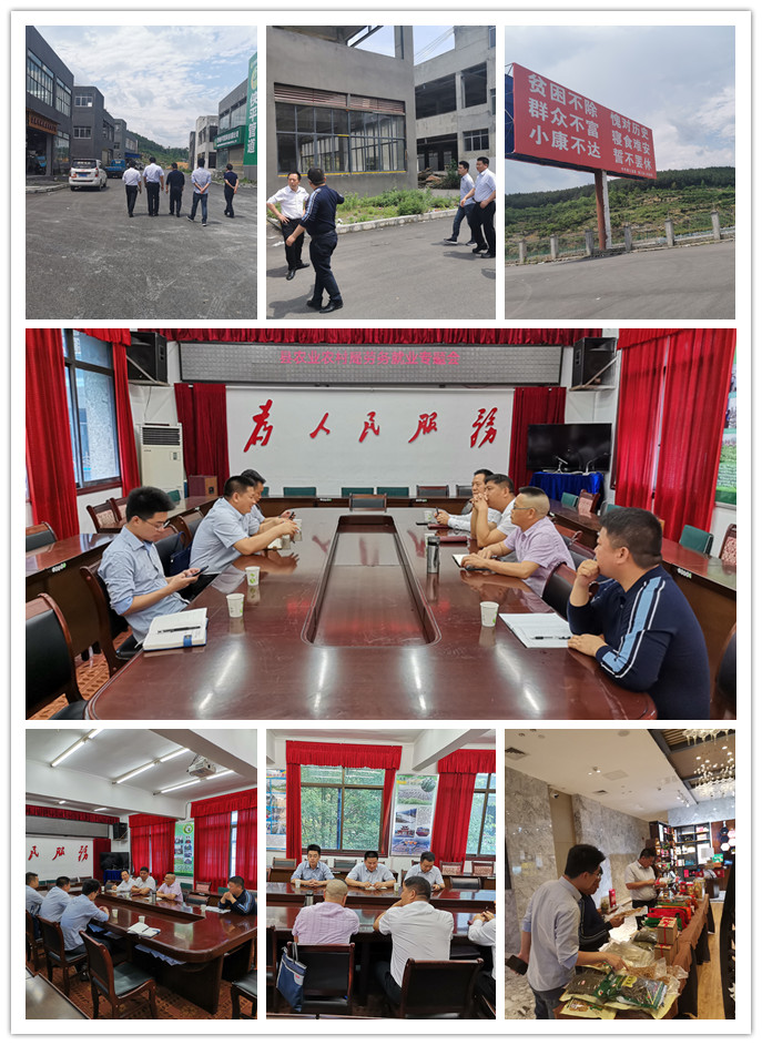 鉴黑担保网(jhdbw)·最具权威唯一维权担保平台