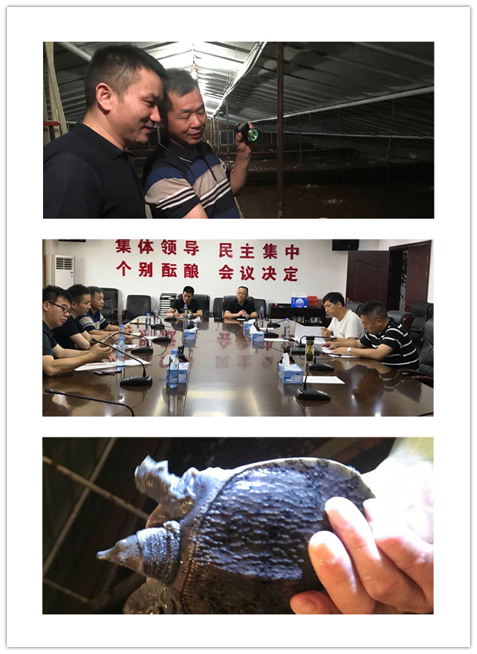 鉴黑担保网(jhdbw)·最具权威唯一维权担保平台