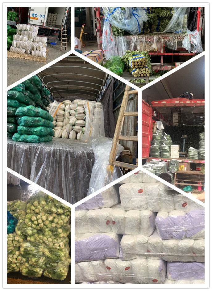 鉴黑担保网(jhdbw)·最具权威唯一维权担保平台