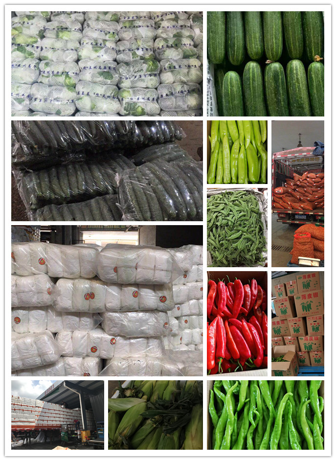 鉴黑担保网(jhdbw)·最具权威唯一维权担保平台