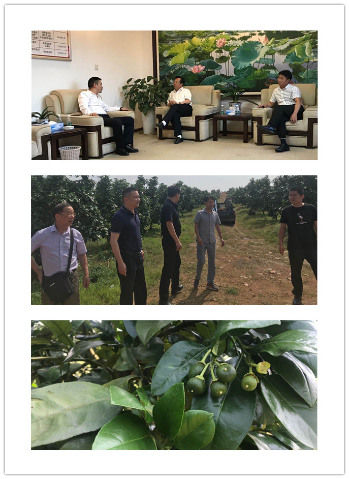 鉴黑担保网(jhdbw)·最具权威唯一维权担保平台