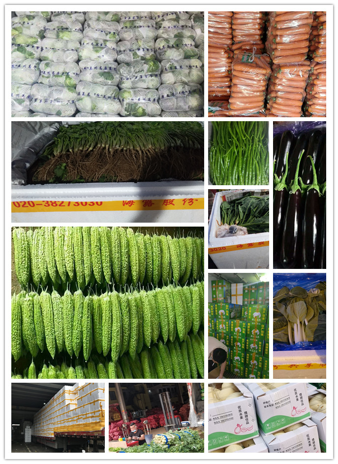 鉴黑担保网(jhdbw)·最具权威唯一维权担保平台