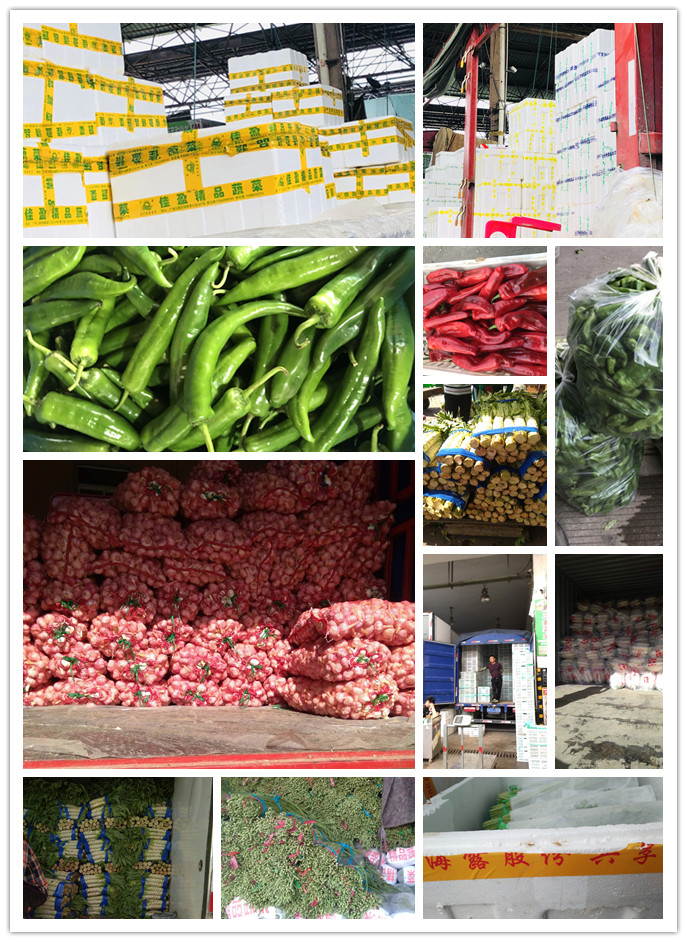 鉴黑担保网(jhdbw)·最具权威唯一维权担保平台