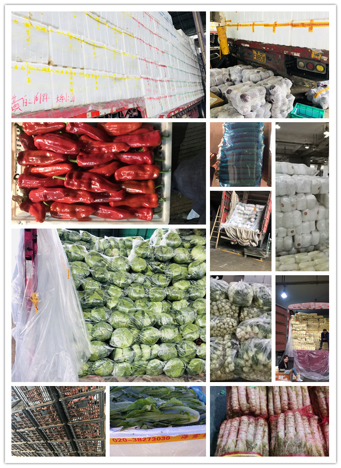 鉴黑担保网(jhdbw)·最具权威唯一维权担保平台