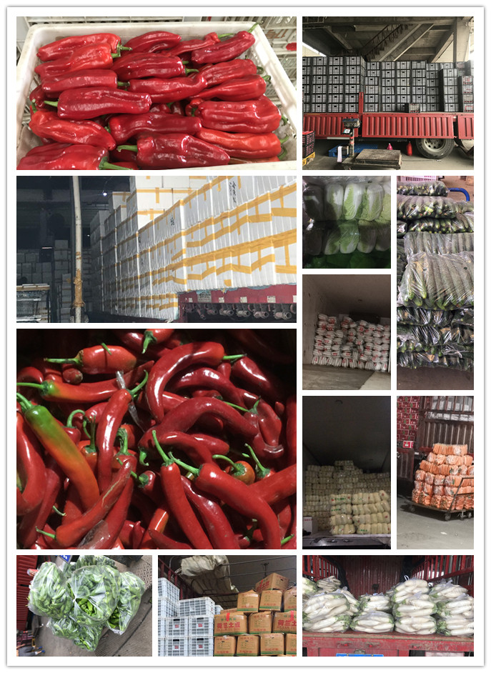 鉴黑担保网(jhdbw)·最具权威唯一维权担保平台