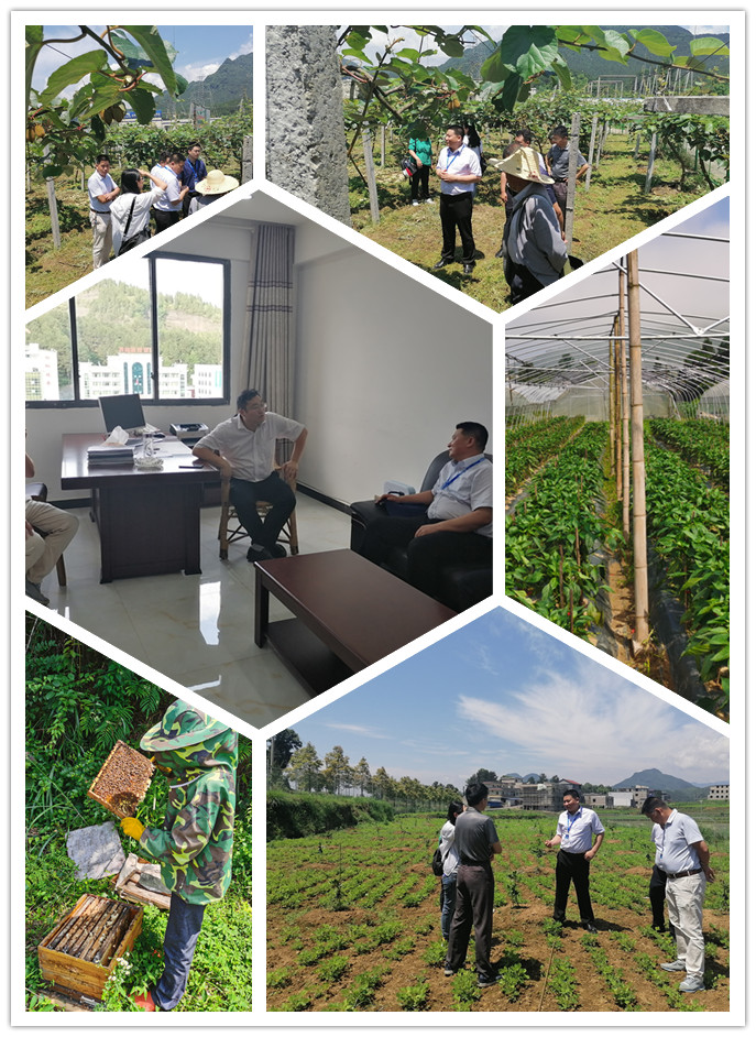 鉴黑担保网(jhdbw)·最具权威唯一维权担保平台