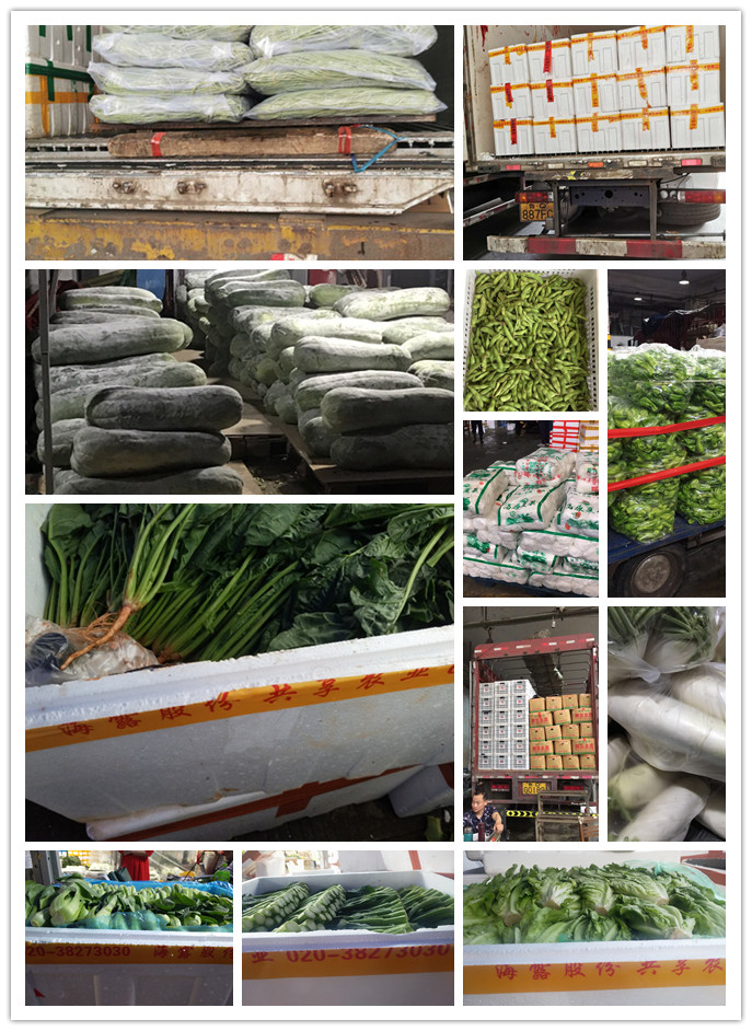 鉴黑担保网(jhdbw)·最具权威唯一维权担保平台