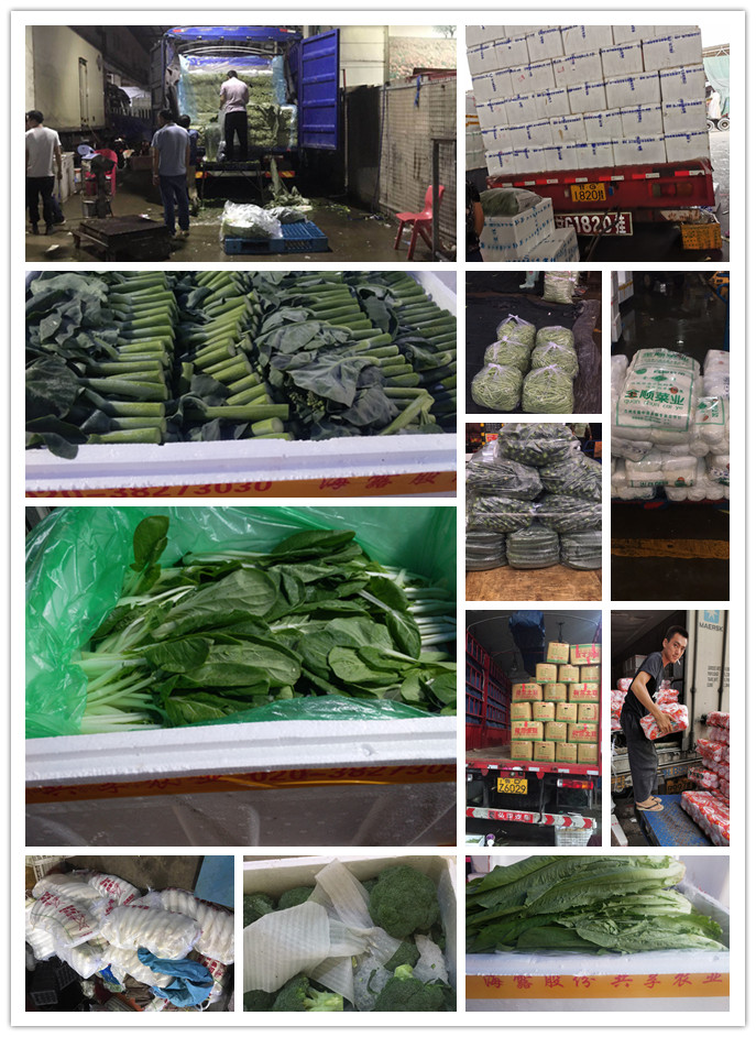 鉴黑担保网(jhdbw)·最具权威唯一维权担保平台