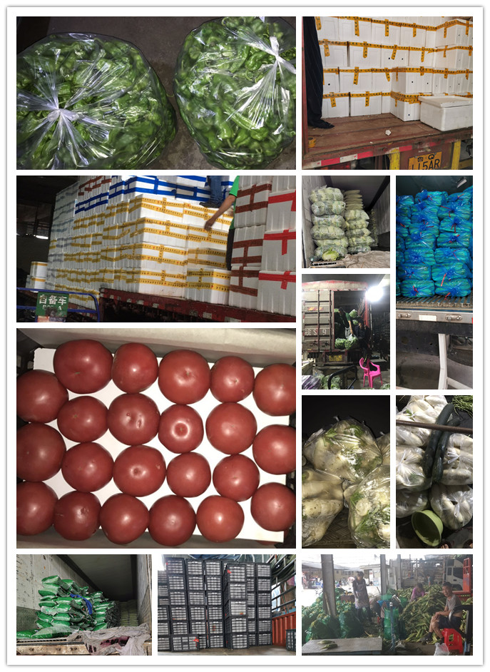 鉴黑担保网(jhdbw)·最具权威唯一维权担保平台