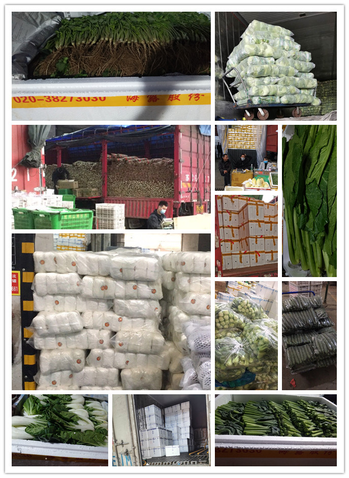 鉴黑担保网(jhdbw)·最具权威唯一维权担保平台