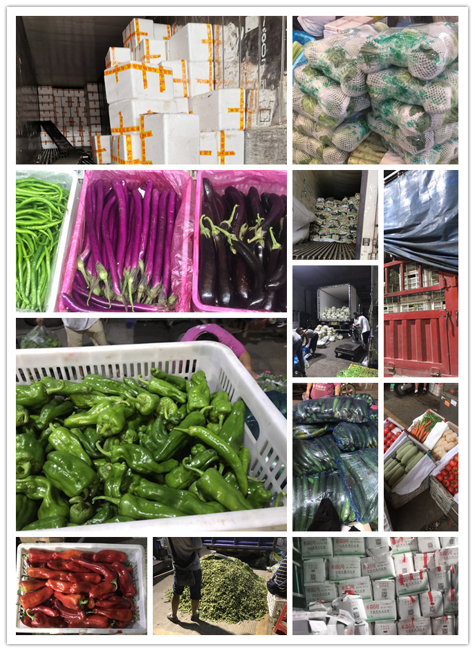 鉴黑担保网(jhdbw)·最具权威唯一维权担保平台