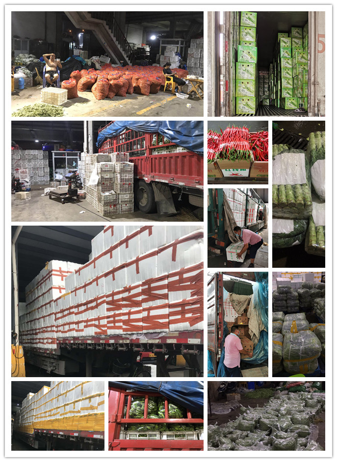 鉴黑担保网(jhdbw)·最具权威唯一维权担保平台