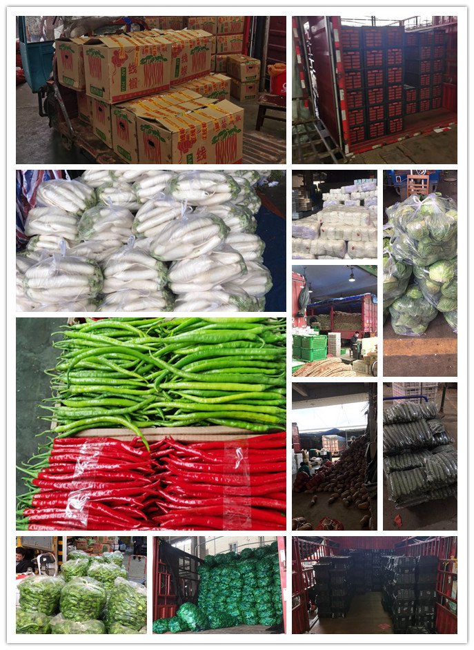 鉴黑担保网(jhdbw)·最具权威唯一维权担保平台